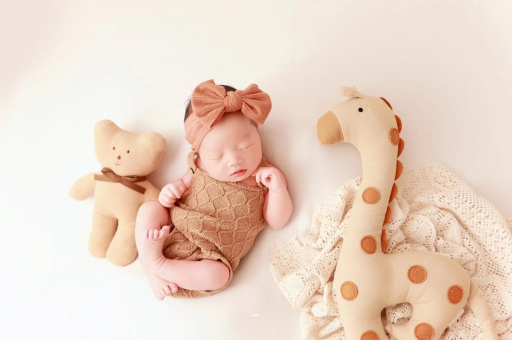 邯郸宝宝虾的做法